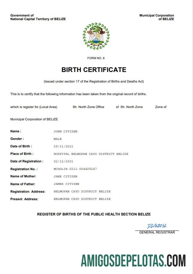 Em branco modelo Word e PDF de certidão de nascimento de registro vital de Belize